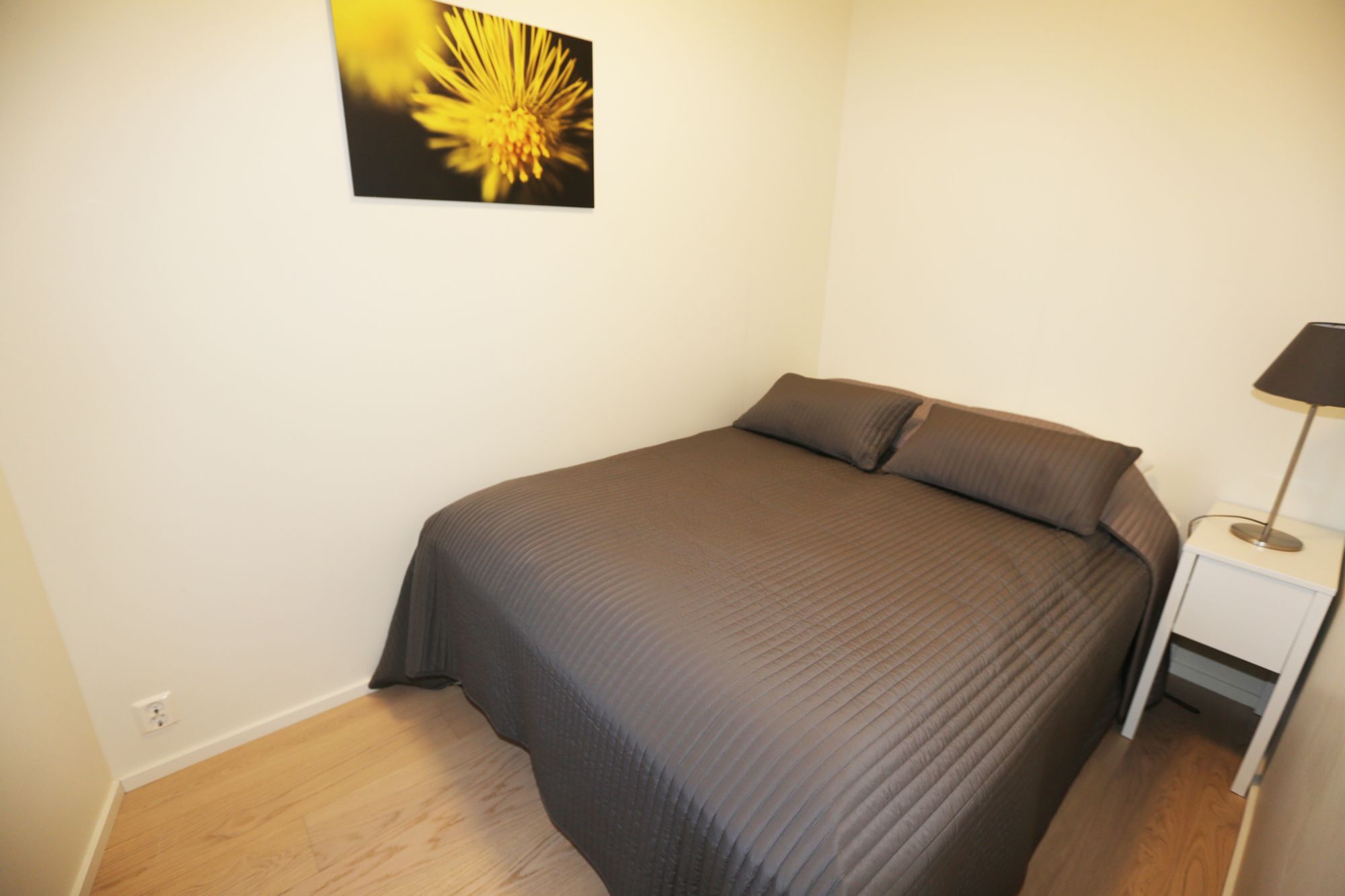 Sonderland Apt - Trelastgata 27 奥斯陆 外观 照片